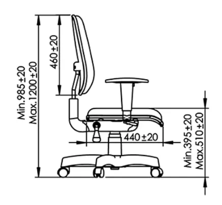 Cadeira Executiva Ergonômica NR17 Internauta Preta